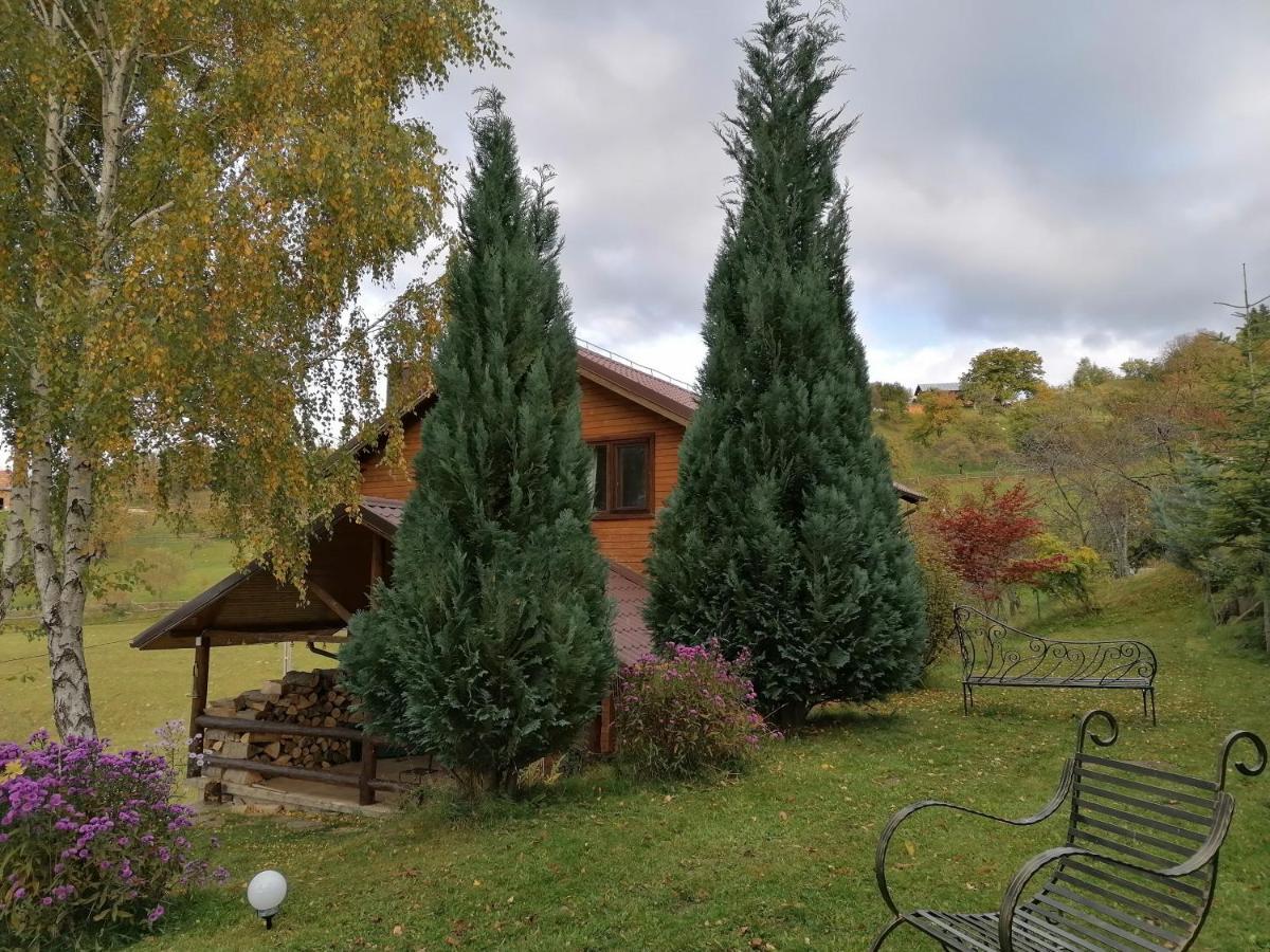 Casa Zara Villa Bran  Exteriör bild