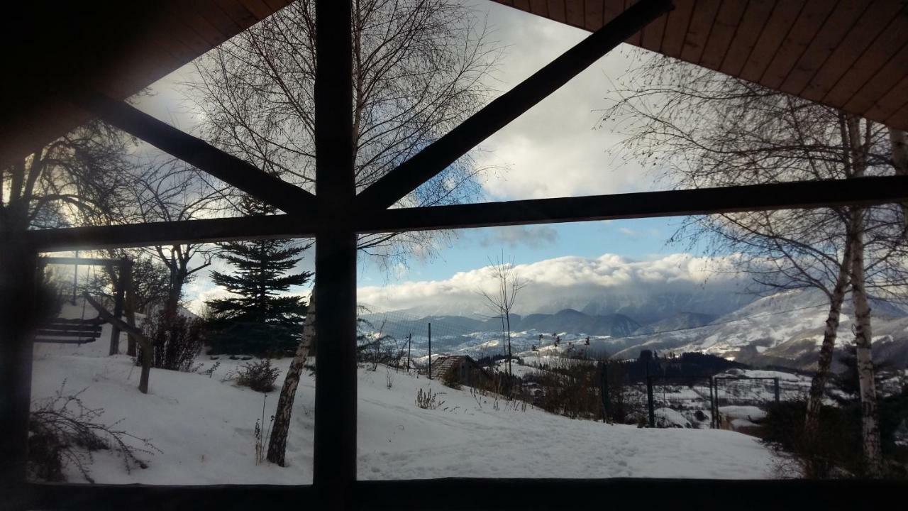 Casa Zara Villa Bran  Exteriör bild