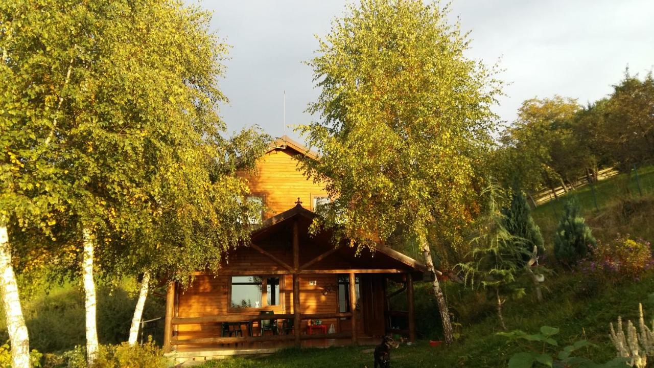 Casa Zara Villa Bran  Exteriör bild